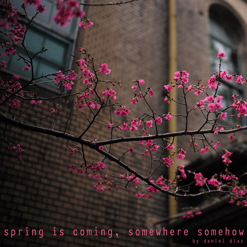 spring is coming